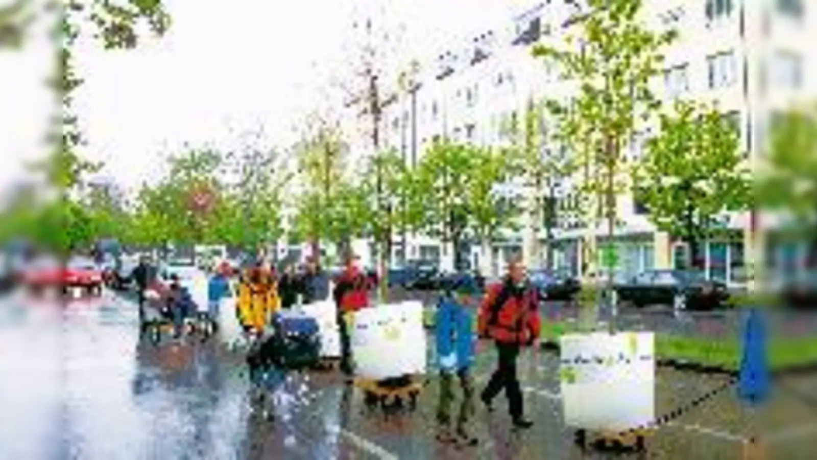Fröhliche Baumwanderung auf dem Altstadtring  eine ganz »natürliche« Sache.	 (Foto: rme)