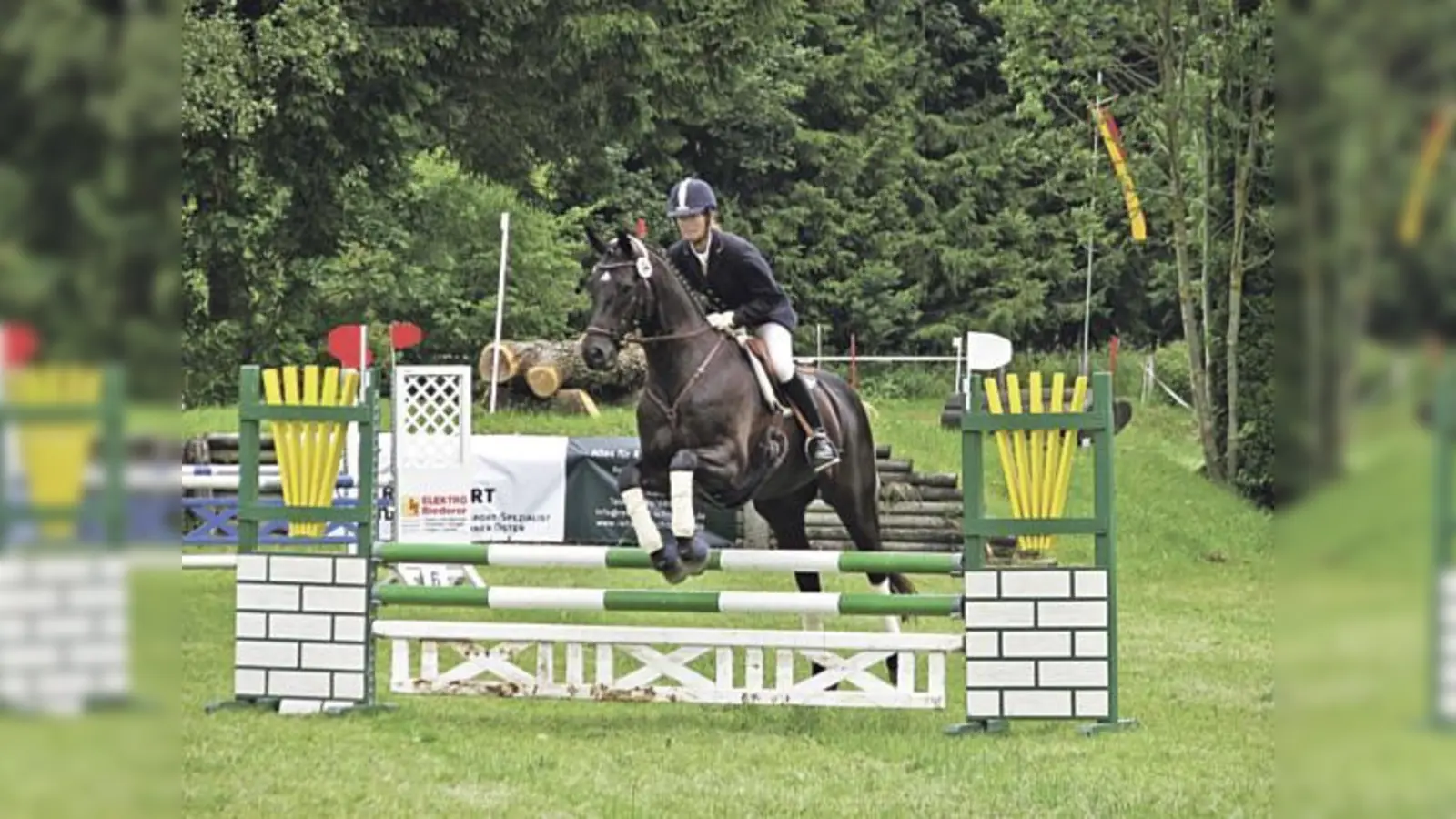 Heuer werden etwa 350 Reiter an dem Pfingstturnier auf Gut Niederseeon teilnehmen.	 (Foto: RCS)