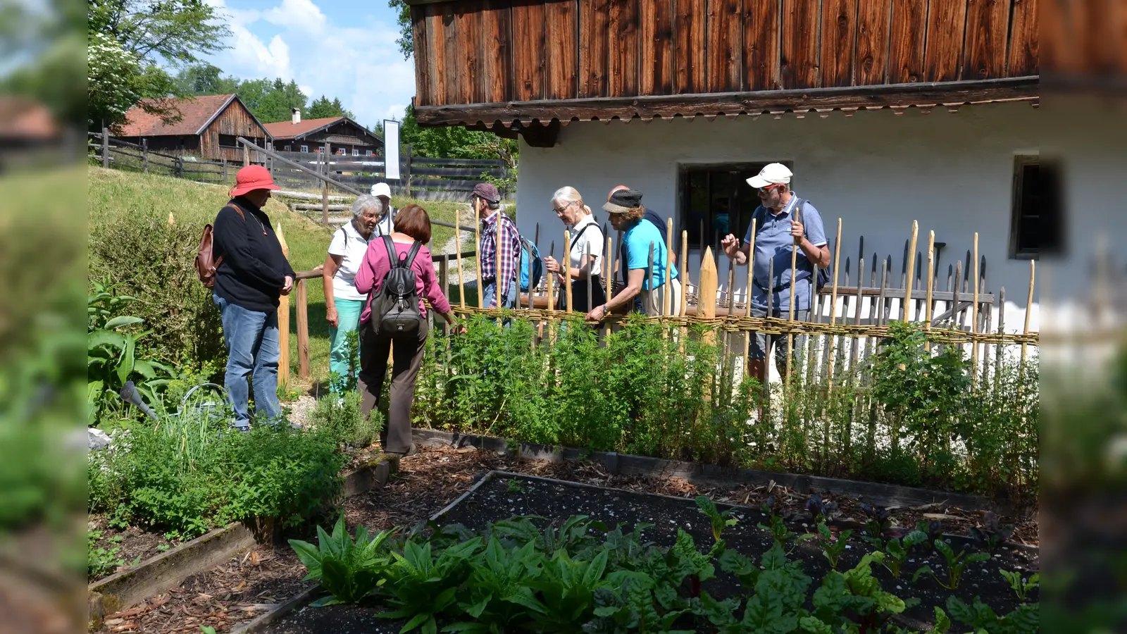 Teilnehmende an der Exkursion bei der botanischen Führung durch die Bauerngärten der Glentleiten. (Foto: Riffert/ GBV Gauting)