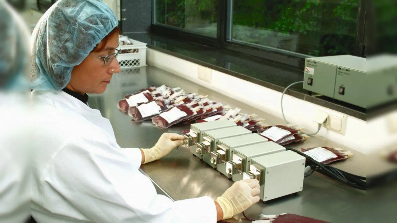 Die Blutkonserven werden sorgfältig weiterverarbeitet, ehe sie das Leben anderer Menschen retten. (Foto: DRK)