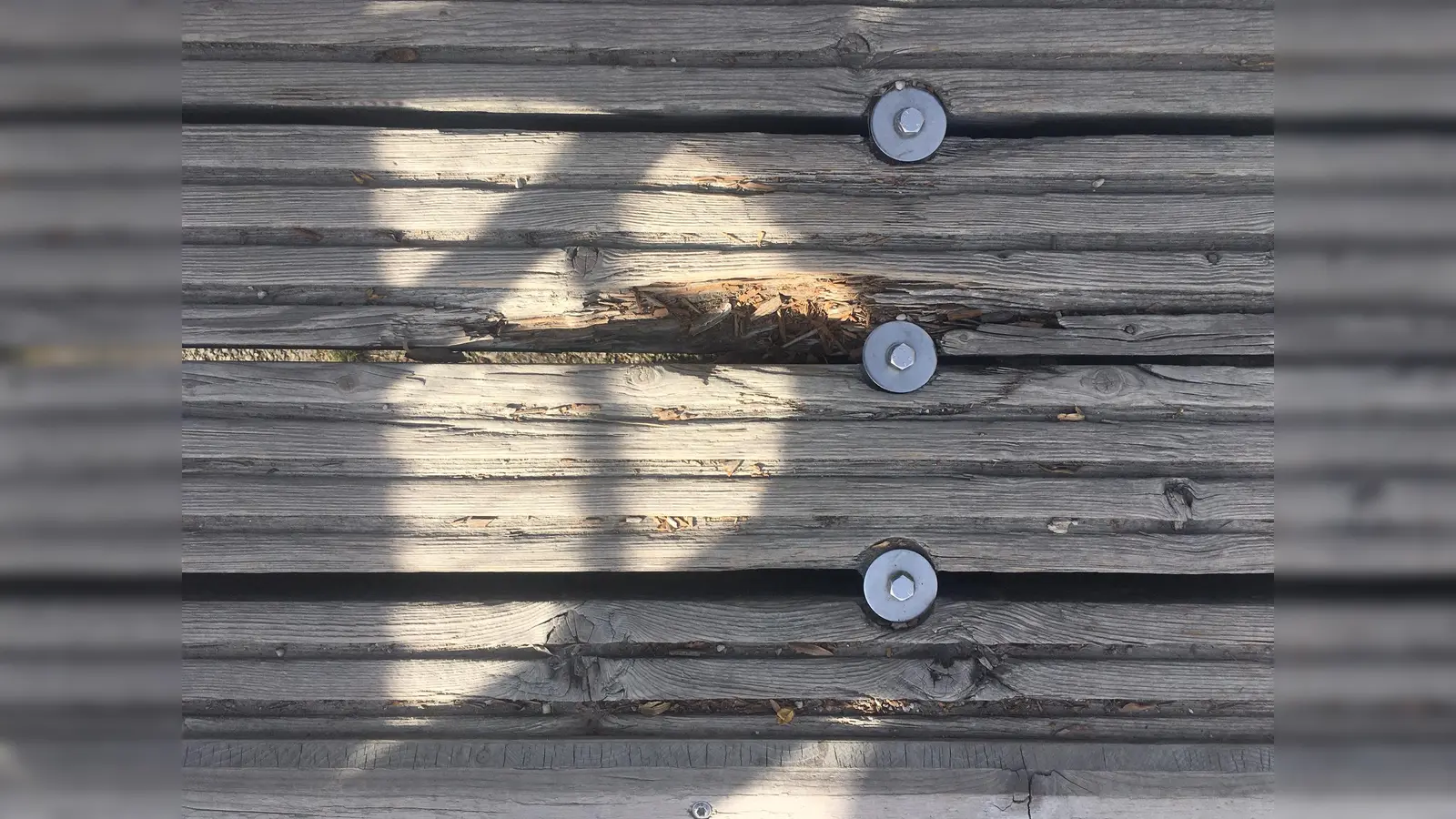 Kaputte Stellen Flauchersteg. (Foto: lsc)