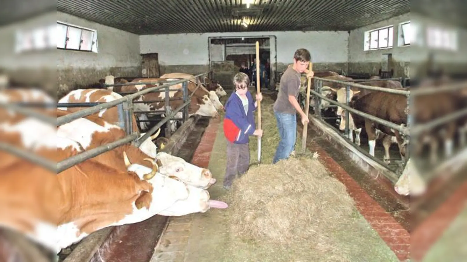 Die Kinder aus dem Münchner Umland sollen auf dem Laubhart-Hof in Taufkirchen das Leben auf dem Bauernhof kennenlernen. 	 (Foto: Privat)