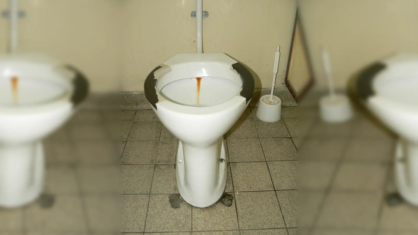 „Sie machen sich keine Vorstellungen, wie die Toiletten in Natura aussehen und stinken.“ Der Elternbeirat vom Elsa-Brändström-Gymnasium kämpfte auch in der Bürgerversammlung um die oft versprochene WC-Sanierung. (Foto: privat)