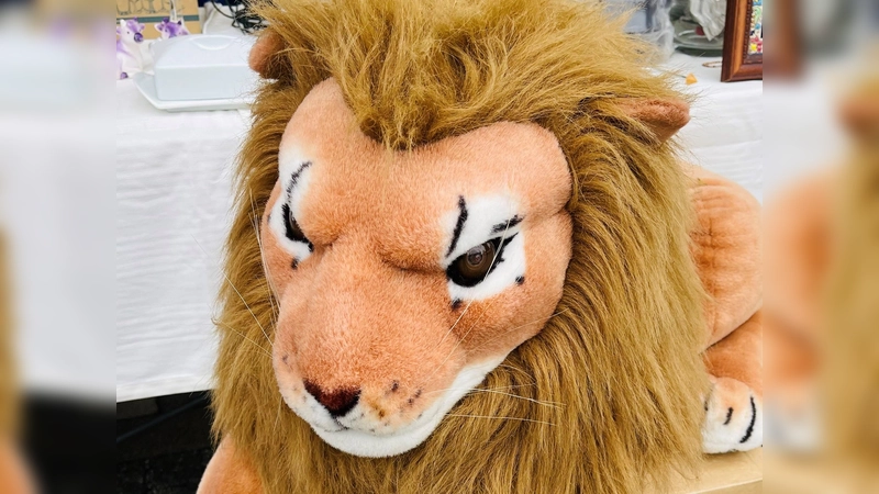 Beim Flohmarkt wird man fündig: Hier kann echten Schnäppchen-Jägern auch mal ein Löwe ins Netz gehen.  (Foto: hw)