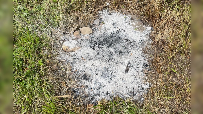 Feuerstellen in den Wiesen rund um das Moosacher Bad am Steinsee sorgen immer wieder für Probleme in Sachen Umweltschutz.  (Foto: LRA EBE)