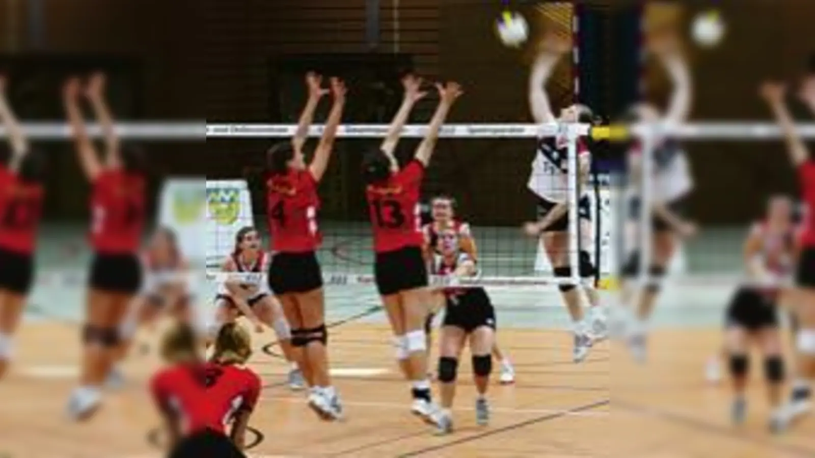 Volleyball der  (Foto: Stephanie Utz und ihre Kolleginnen waren für Erfurt eine Nummer zu groß.)