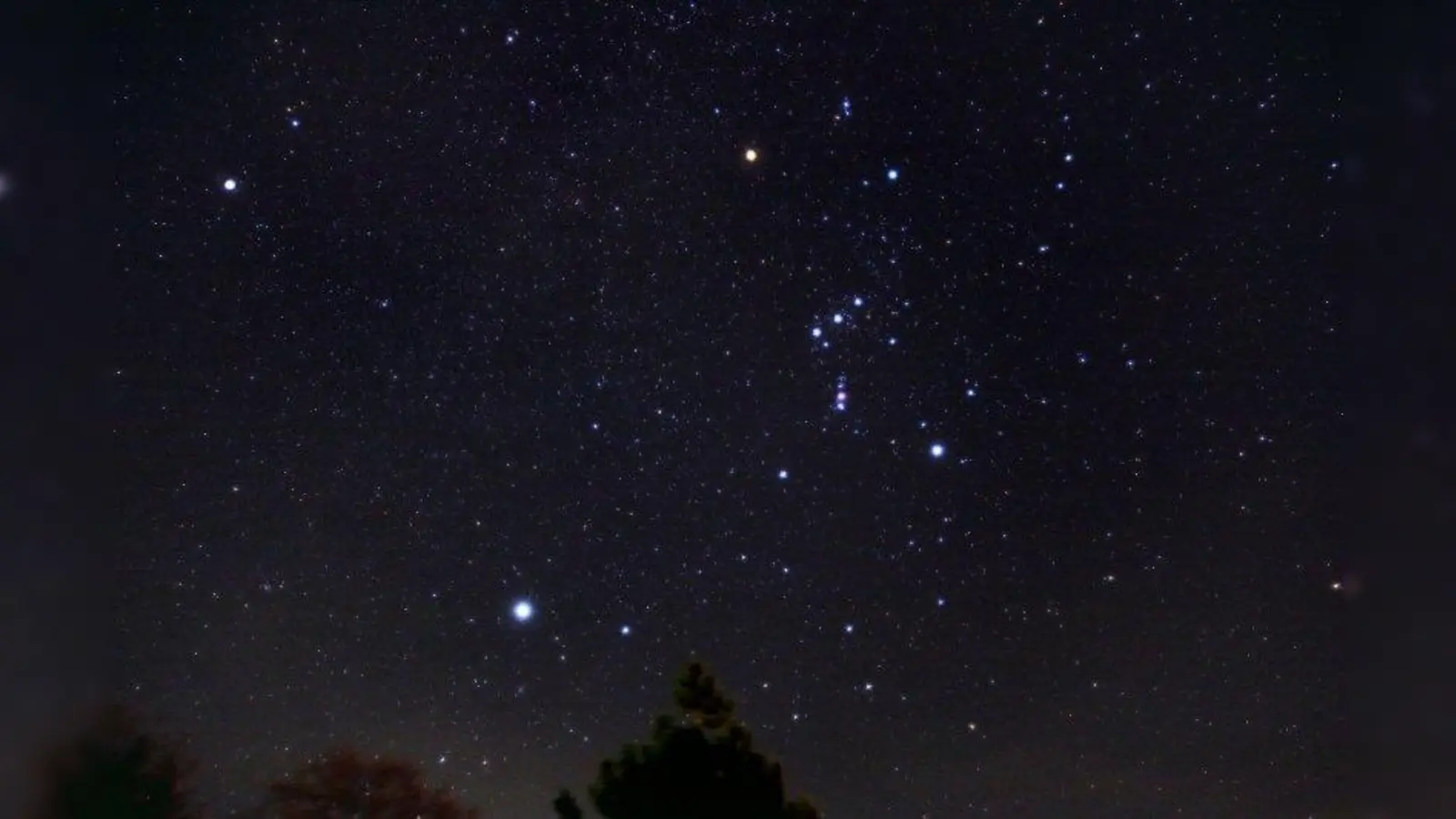 Das Sternbild Orion. (Foto: Peter Stättmayer)