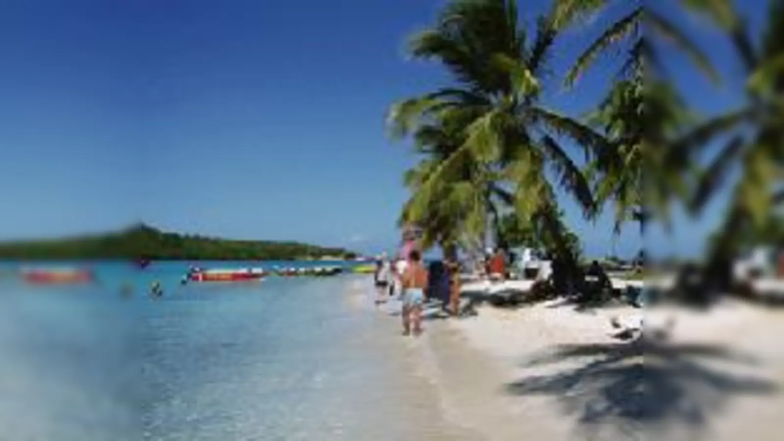 Sonne, Strand und Palmen auf Tobago.  (Foto: VA)