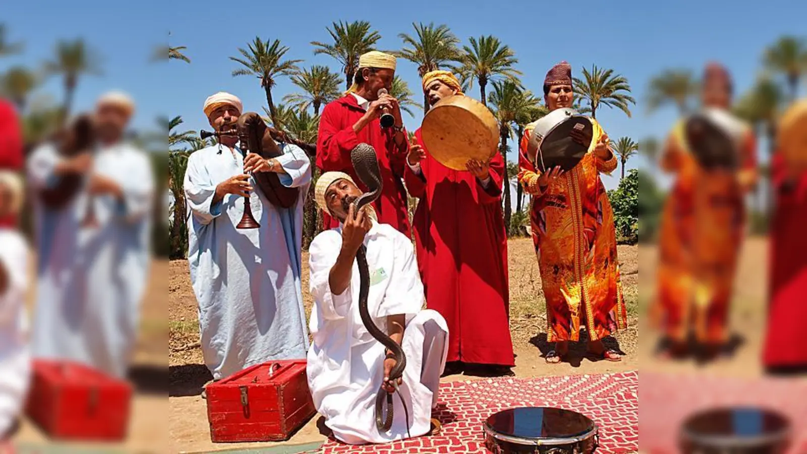 Die Bruderschaft der Aissaoua von Marrakesch vollziehen eine Hadra mit ihren Schlangen. 	 (Foto: Marion Beckhäuser)