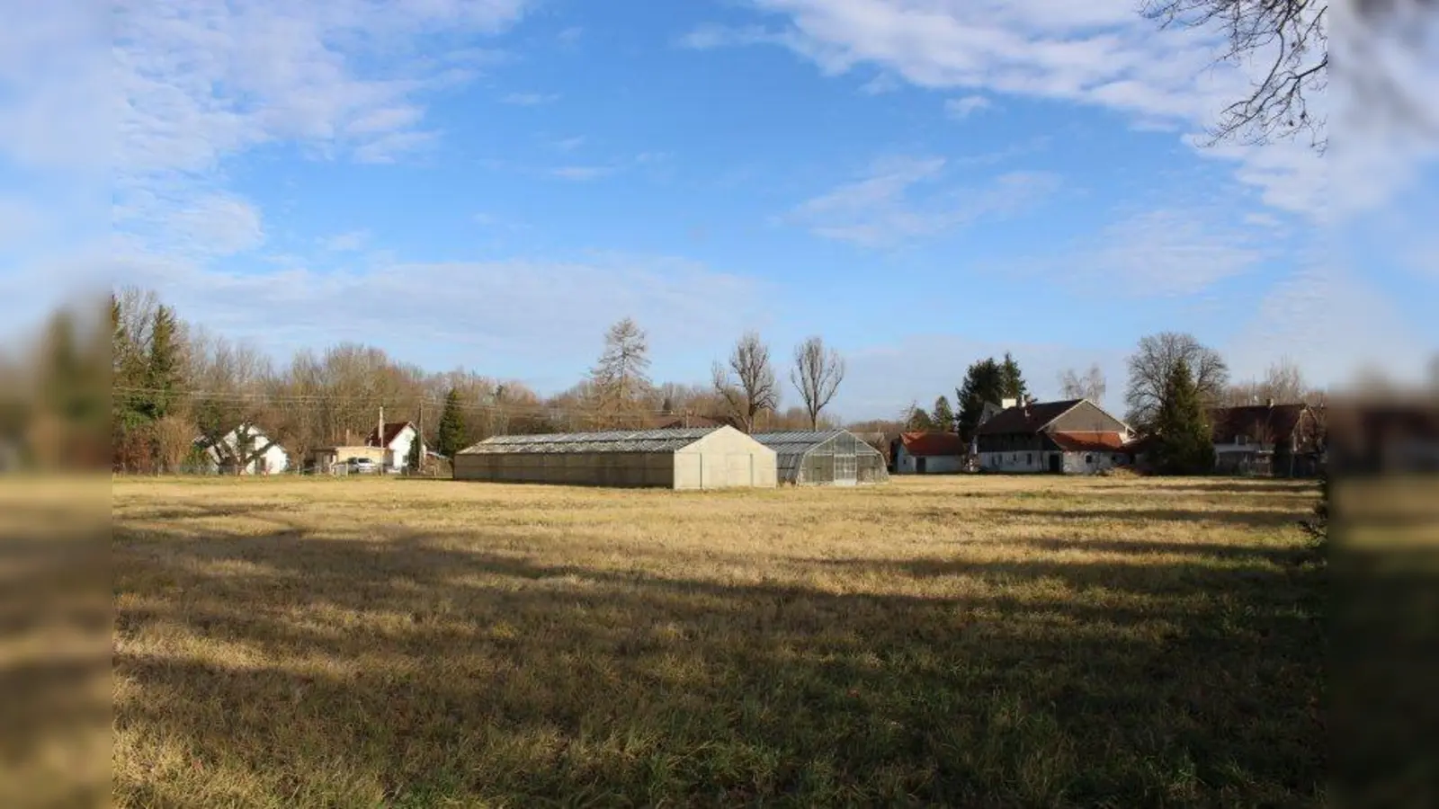 Ein Bauträger möchte das Grundstück zwischen der Waldhornstraße und dem Perlgrasweg gerne bebauen. Die Stadt lehnt das bisher ab. (Foto: sb)