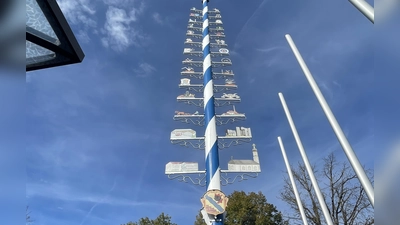 Der Unterföhringer Maibaum muss aus Sicherheitsgründen umgelegt werden. (Foto: Gemeinde Ufg/lih)