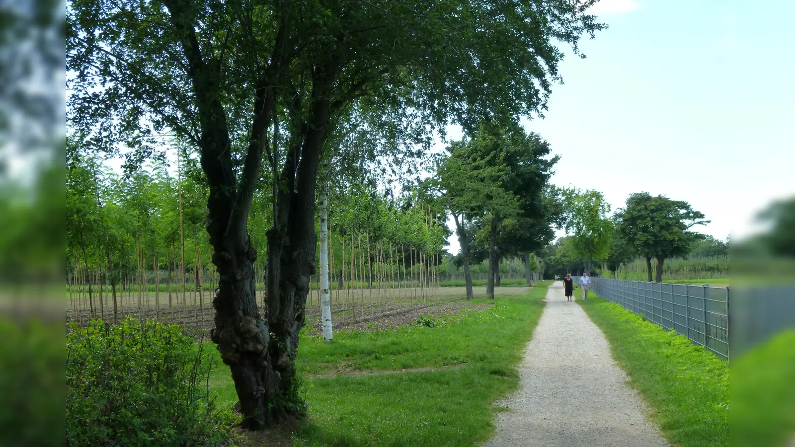 Die Bürgerinitiative Landschaftspark-West gründete sich im Herbst 2019, um sich v.a. gegen eine Bebauung des Landschaftsparks West, bekannt als Baumschule, einzusetzen. (Foto: Beatrix Köber)