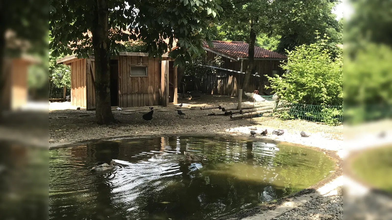 Der Umweltgarten in Neubiberg ist eine von vielen Hörpfadstationen, die man ganz bequem und völlig kostenfrei entdecken kann. (Foto: hw)