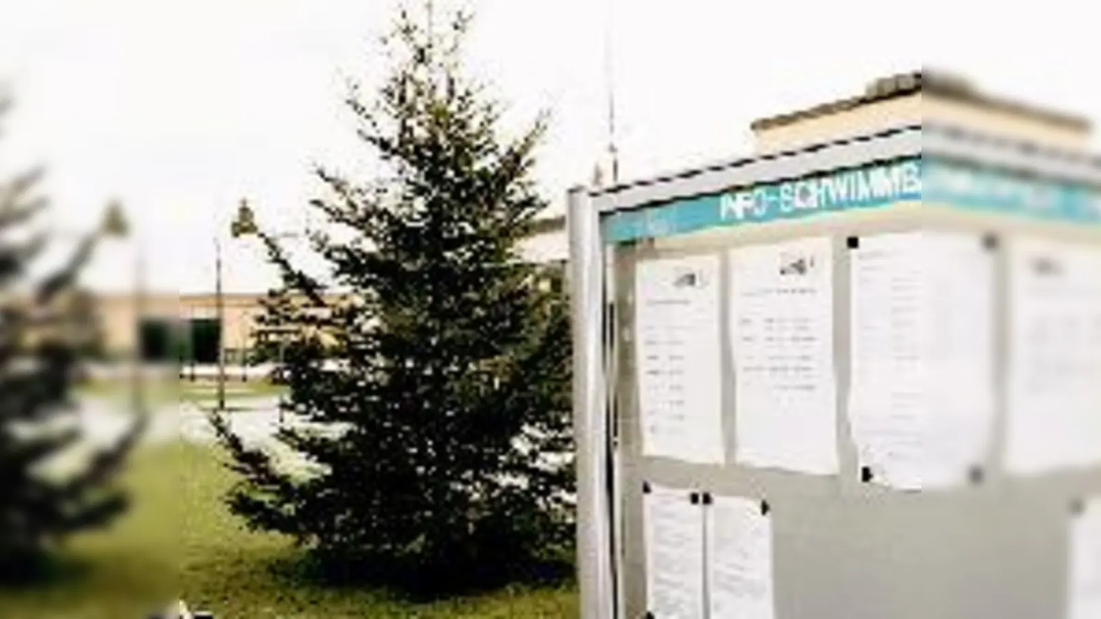 Ein neuer Weihnachtsbaum schmückt inzwischen wieder den Platz vor dem Schwimmbad. (Foto: Sala)