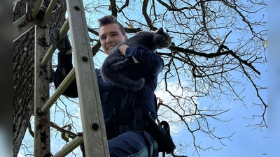 Rettung geglückt: Polizeiobermeister Stephan Brand steigt mit der geretteten Katze von der Leiter. (Foto: red)