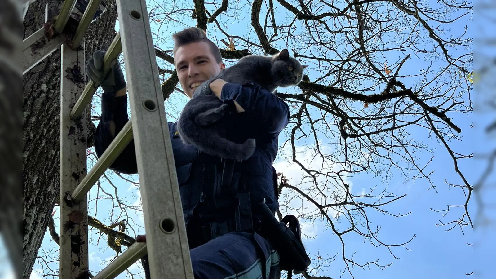 Rettung geglückt: Polizeiobermeister Stephan Brand steigt mit der geretteten Katze von der Leiter. (Foto: red)