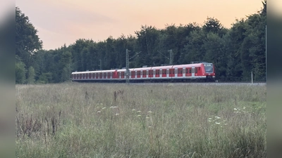 Die S-Bahn fährt derzeit noch durch. In Zukunft könnte an dieser Stelle der S-Bahnhalt Weichselbaum sein. (Foto: pst)