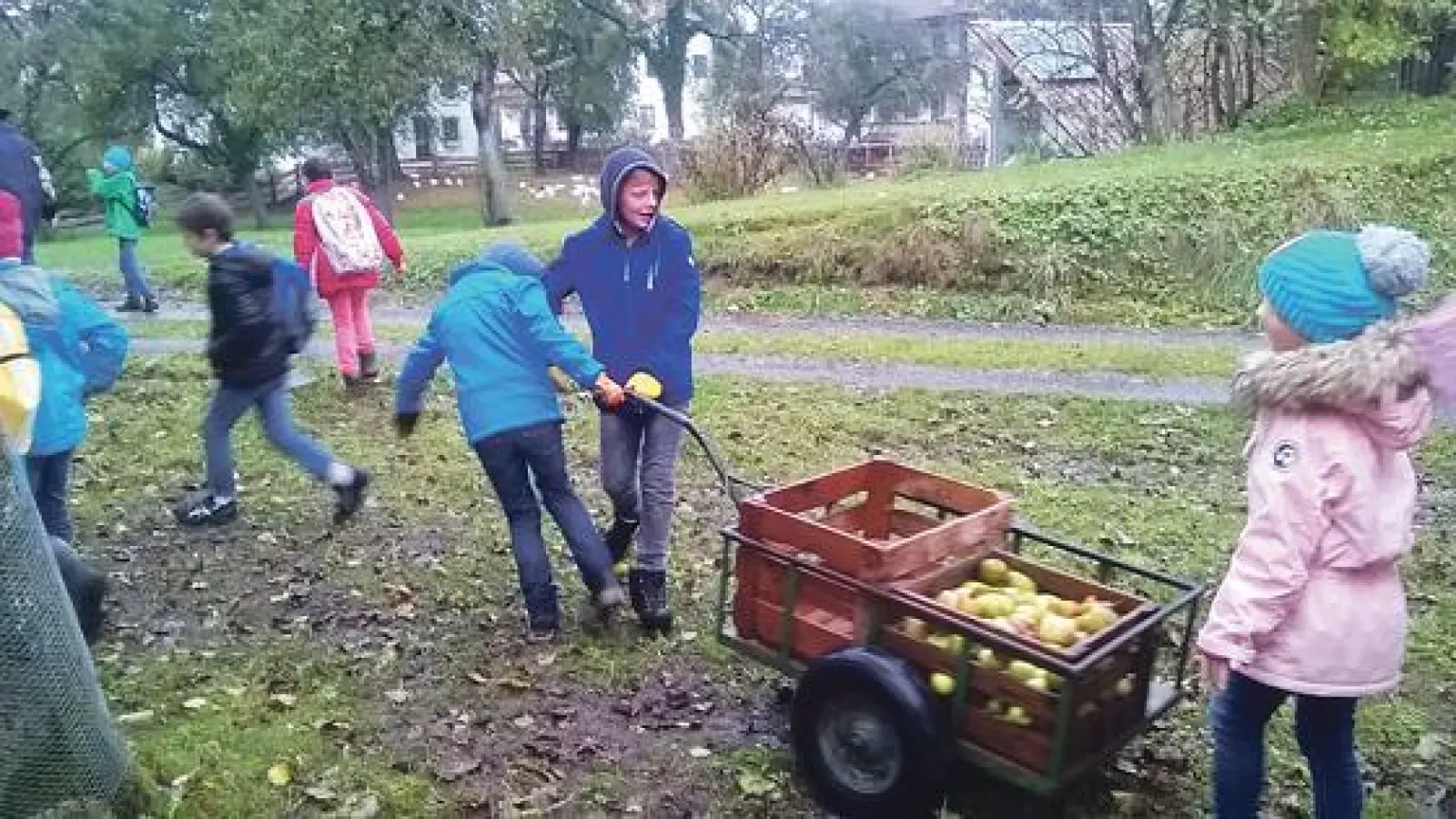 Die Aktion »Schule auf der Streuobstwiese« kam bei den Kids sehr gut an.  	 (Foto: Landschaftspflegeverband)