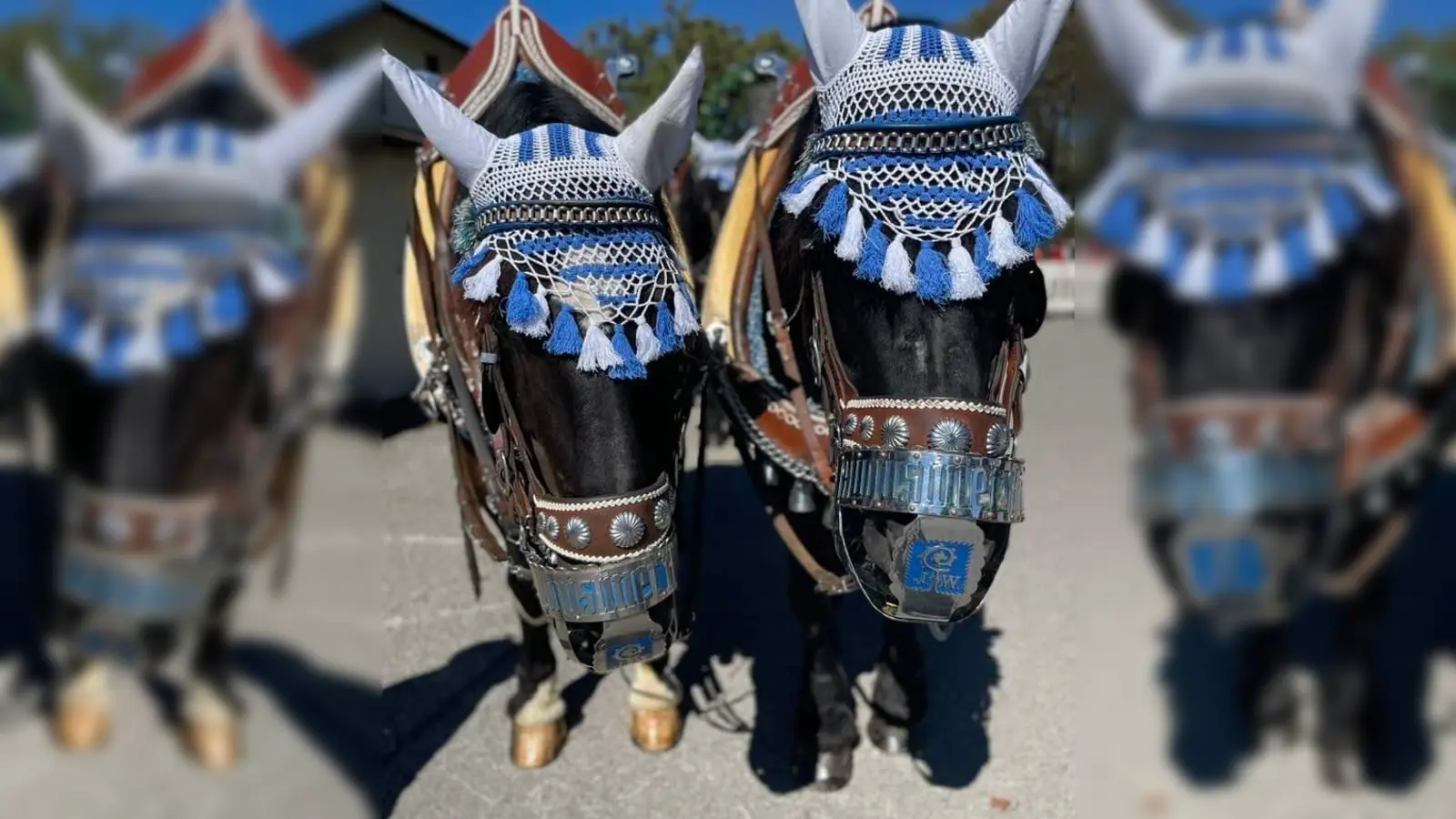 Der traditionsreiche Keferloher Montag findet 2024 in einem reduzierten Format statt – ohne Zelt, ohne Wettpflügen, ohne Ausstellung und ohne Markt. (Foto: privat)