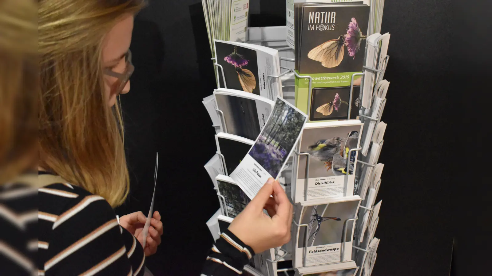 Die Gewinnerfotos des Wettbewerbs wurden im Vorjahr auf Postkarten gedruckt. Wer seine Lieblingsfotos auch der breiten Masse präsentieren will, kann noch bis Ende des Monats am Jugend-Wettbewerb teilnehmen. (Foto: Daniel Mielcarek)