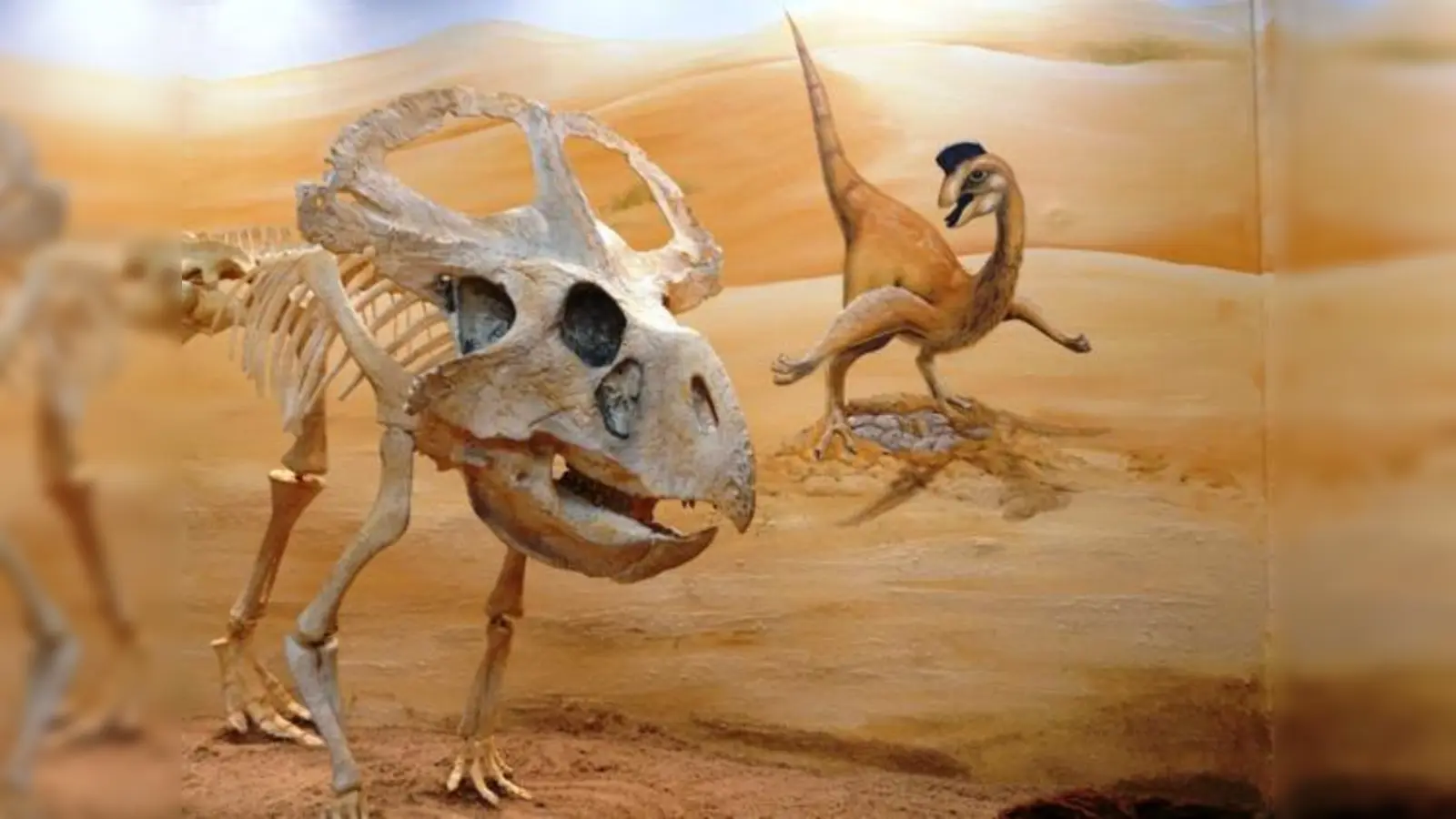 Originale Dinosaurierfossilien erwarten die Besucher im Urzeitmuseum.  (Foto: Kapustin)