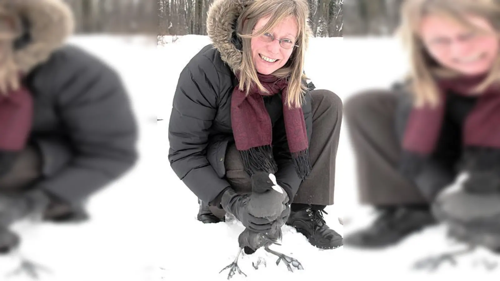 LBV-Mitarbeiterin Sylvia Weber beim Auswildern des Blässhuhns an der Isar.  (Foto: Vinzenz Eichinger)