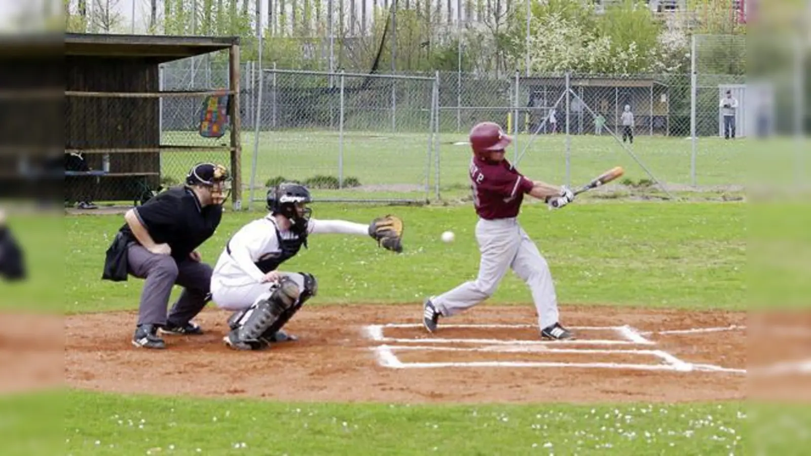 Phill Handy von den Erding Mallards kassiert einen Strikeout. 	 (Foto: Verein)