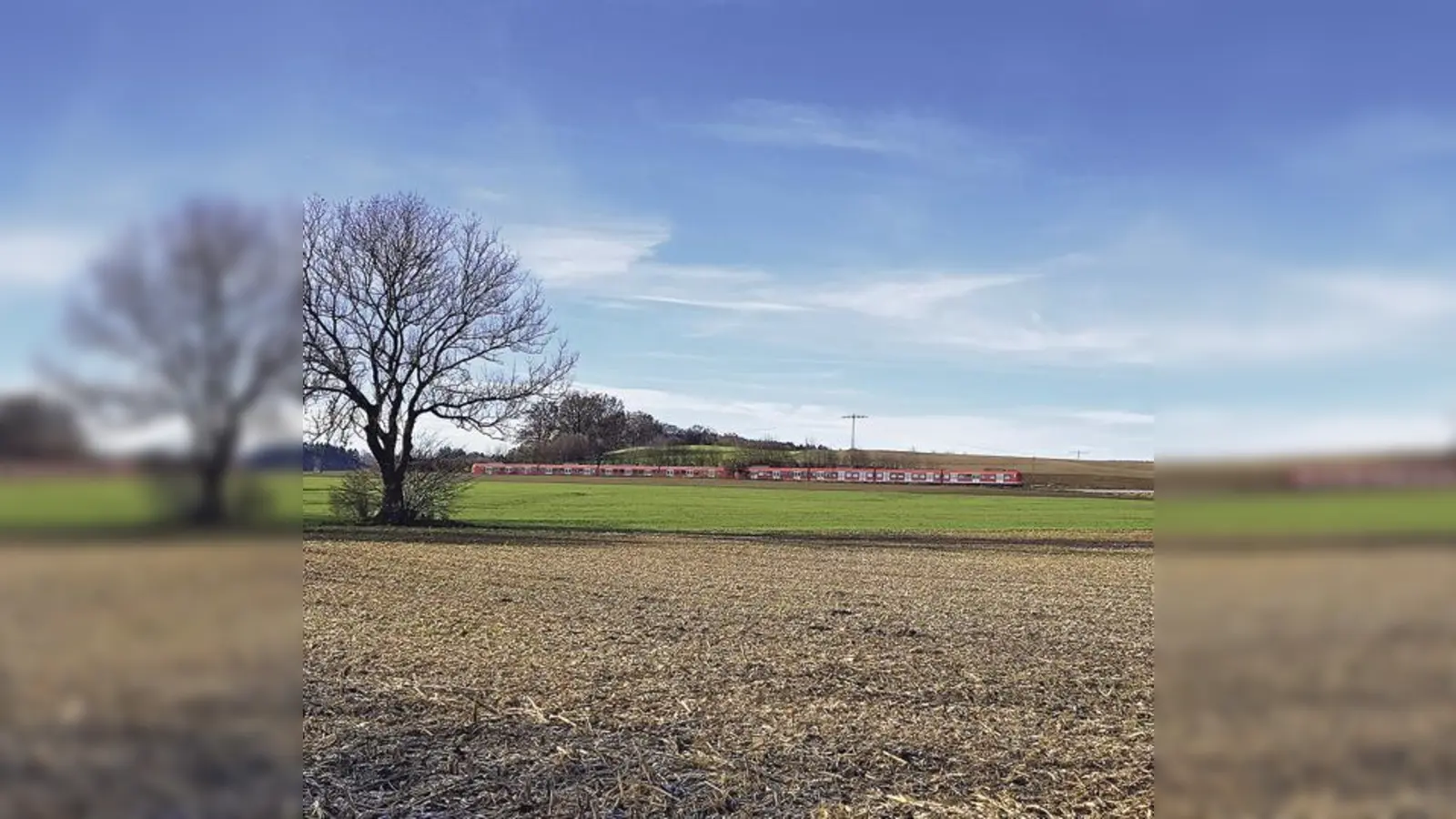Mit sechs Zugverbindungen in der Stunde ist die eingleisige Strecke zwischen Ebersberg und Grafing ausgelastet. 	 (Foto: Stefan Dohl)