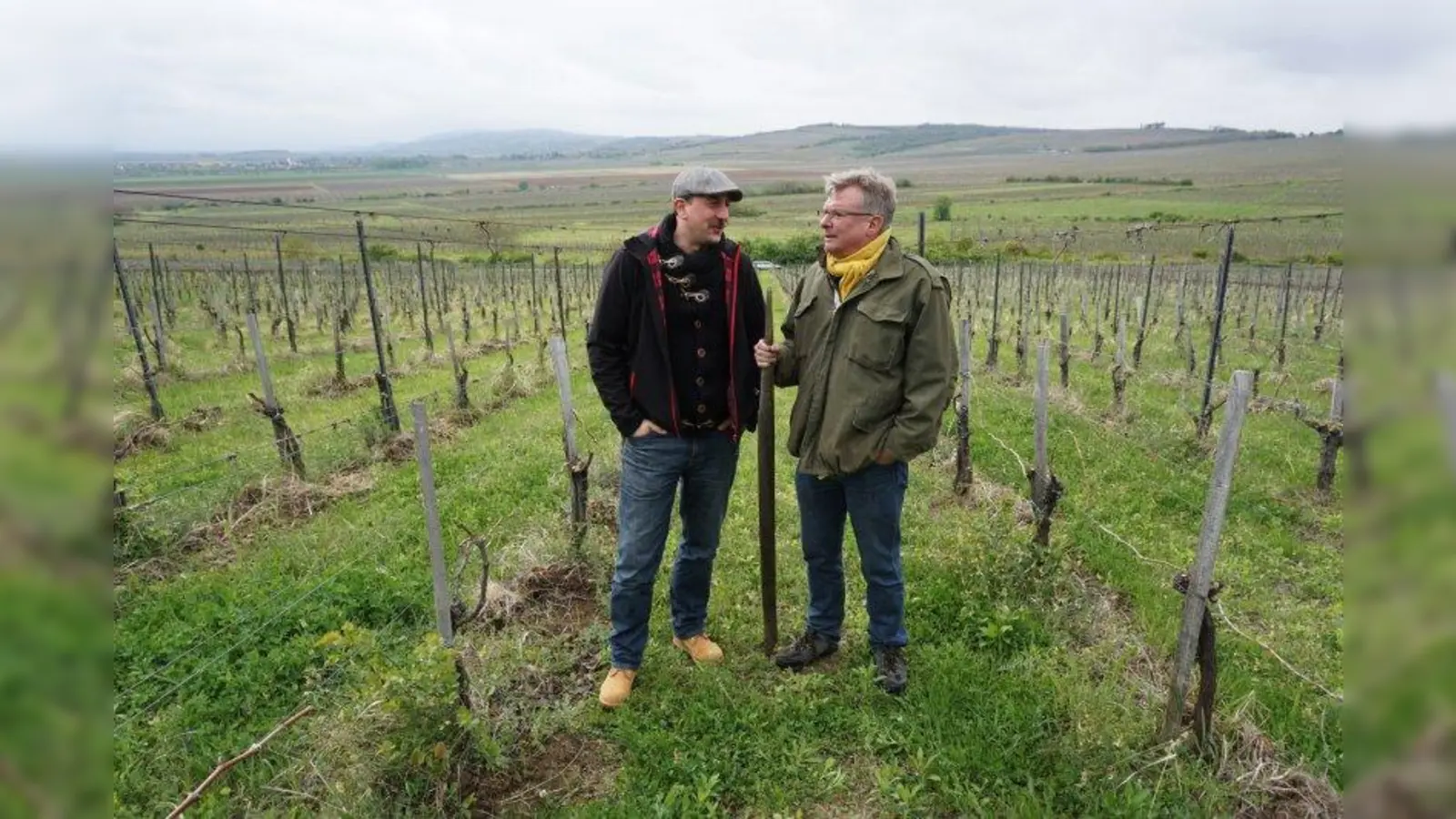 Vor Ort unterwegs: Robin Berner (links), Leiter der Wein- und Spiritousenabteilung der Galeria Kaufhof am Rotkreuzplatz, im Gespräch mit Horst Hummel in den Weinbergen des Weinguts Hummel in Ungarn. (Foto: privat)