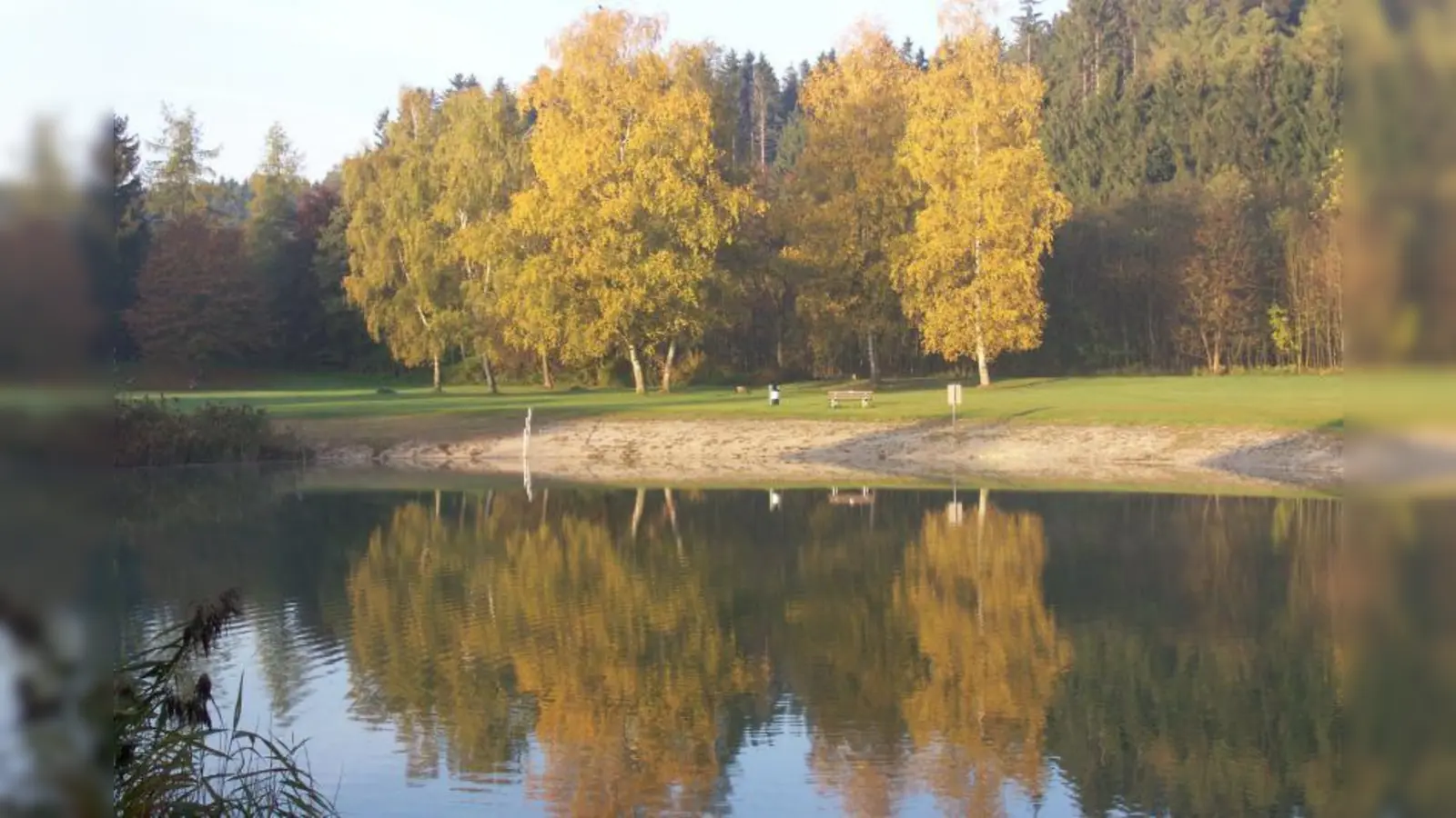 Auch wenn sie nicht immer zu sehen sind: Die Wasservögel am Germeringer See haben Ihre Wirkung auf die Wasserqualität. (Foto: Stadt Germering)