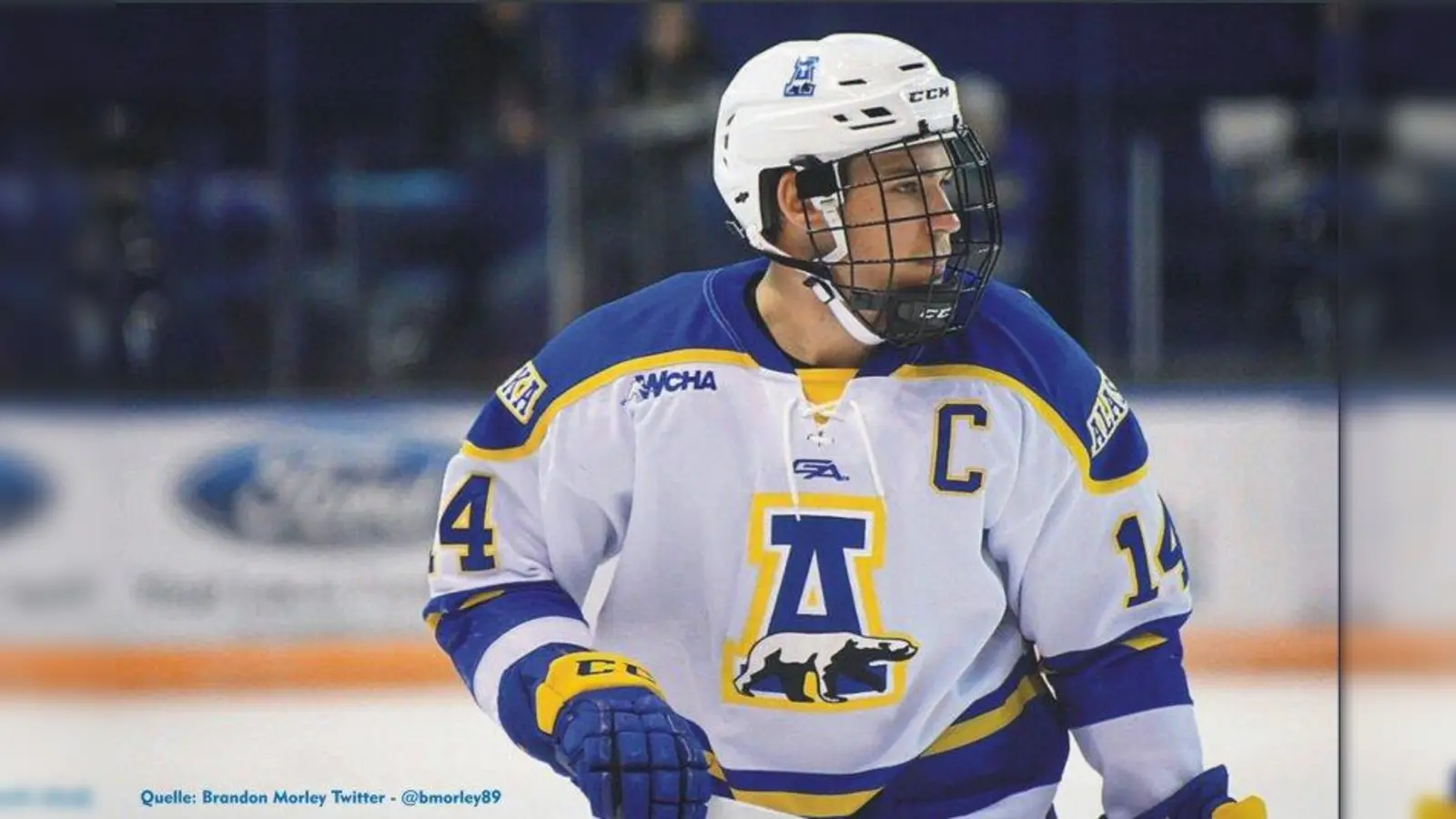 Kommt neu zu den „Eishacklern“: Der Kanadier Brandon Morley. (Foto: TSV Peißenberg / Abteilung Eishockey)