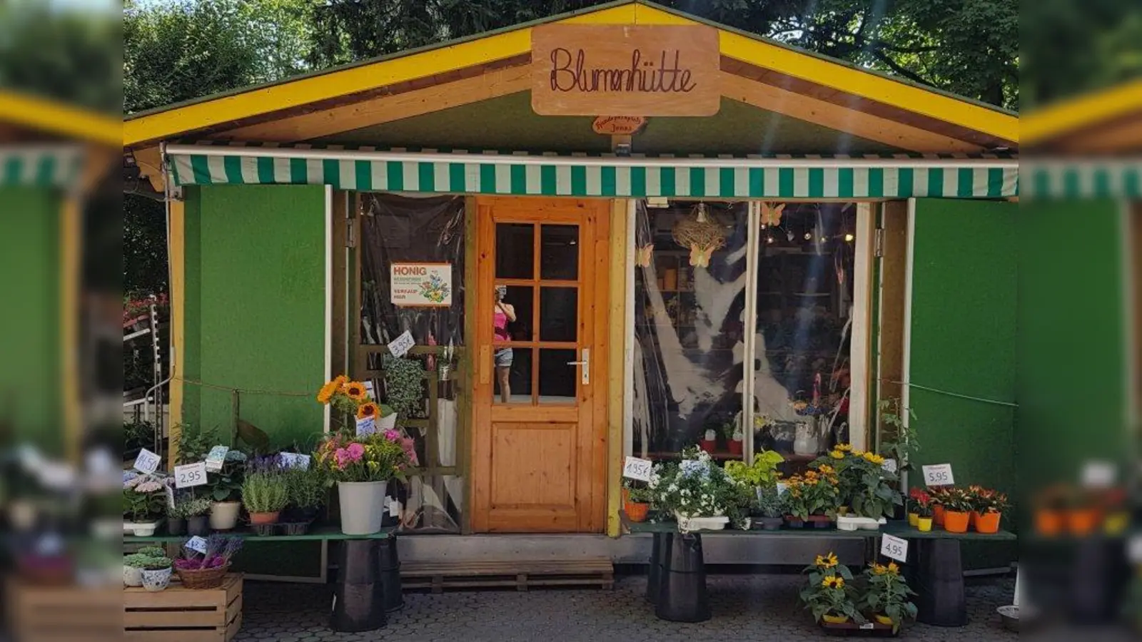 Die Blumenhütte am Harras. (Foto: Stefan Kubon-Lindinger)