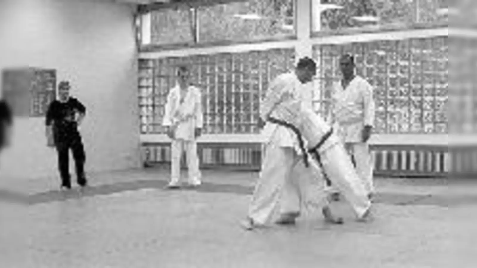 Karate: Sieht unspektakulär aus, ist aber sehr effektiv.	 (Foto: VA)