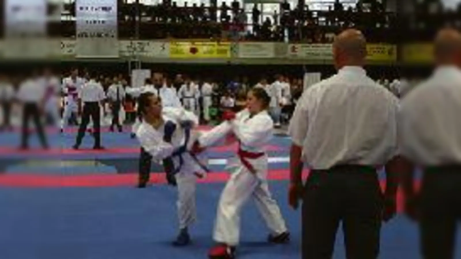 Schenkten sich nichts: Die Kämpferinnen bei der Deutschen Meisterschaft im  (Karate.Foto: SCE)