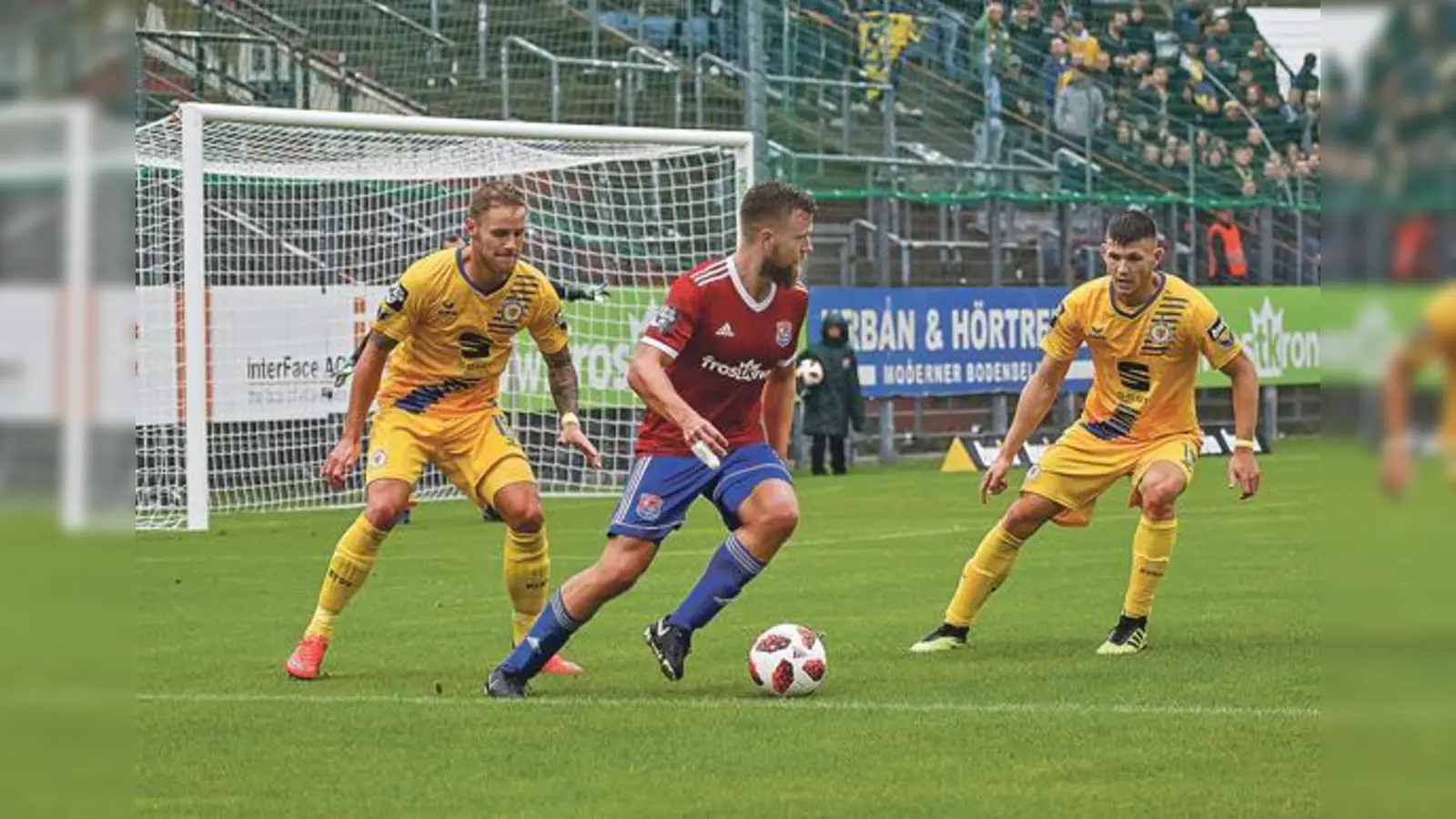 Hachings Top-Torjäger Stephan Hain (Mitte) erzielte in Zwickau sein siebtes Saisontor. Am Ende reichte es für die SpVgg aber wieder nur zu einem Remis.	 (Foto: Christian Riedel)