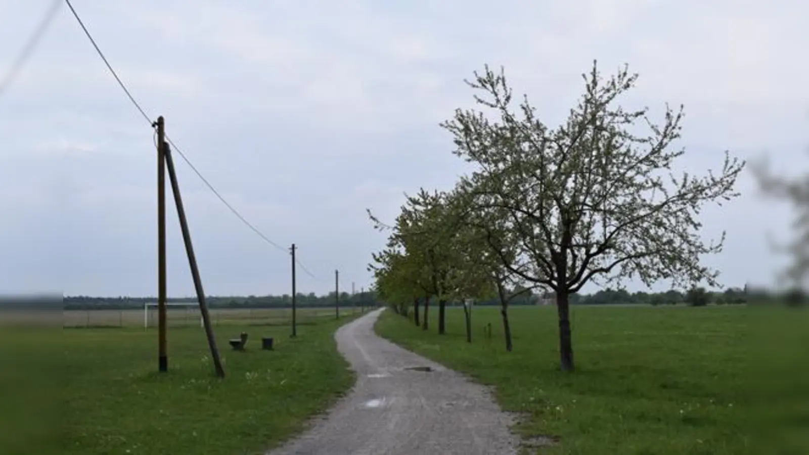 Heute gibt es über das Naturschutzgebiet neue Erkenntnisse zu Kriegsrelikten. Die Regierung von Oberbayern passte deshalb die Regeln zum Betreten der Heide an.  (Foto: Daniel Mielcarek)