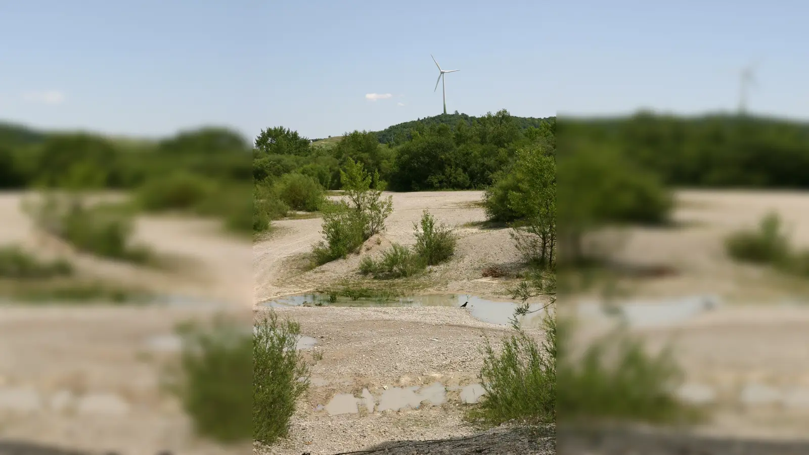 Interessantes über die Tierwelt der Fröttmaninger Heide erfährt man bei der Naturführung.  (Foto: Stefan Gerstorfer)