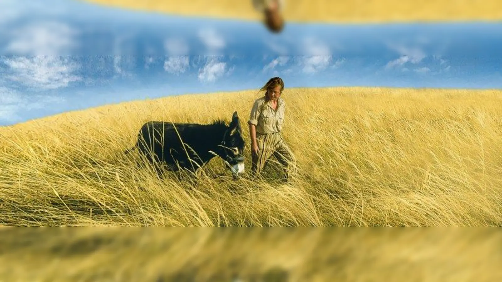 Mit Chocolat durch Frankreich: Der Esel begleitete Carmen Rohrbach auf ihrer Pilgerreise. (Foto: Rohrbach)