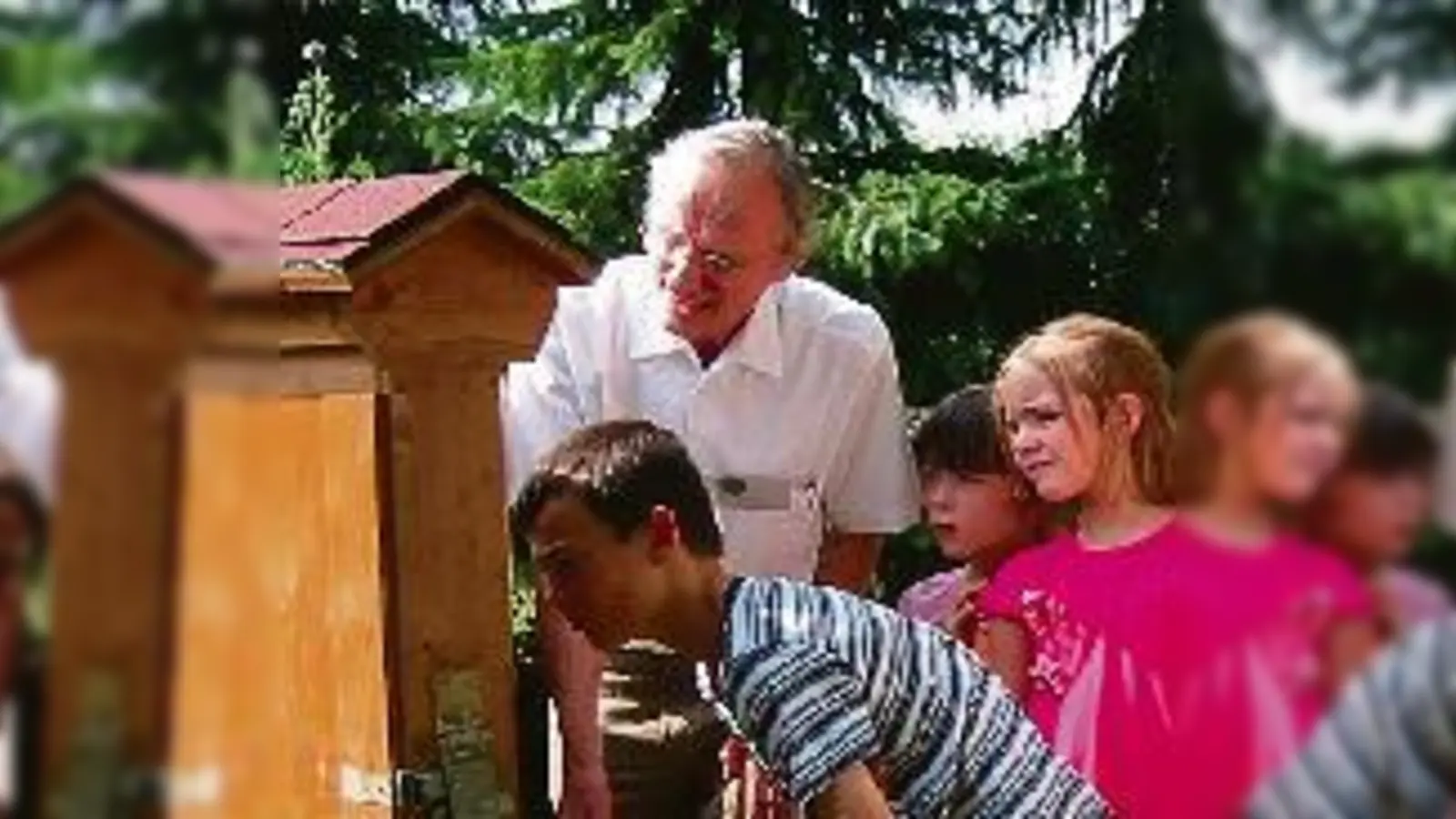 Imker Norbert Ruhs zeigt Besuchern am Tag der offenen Tür ein Bienenvolk im Schaukasten.	  (Foto: VA)