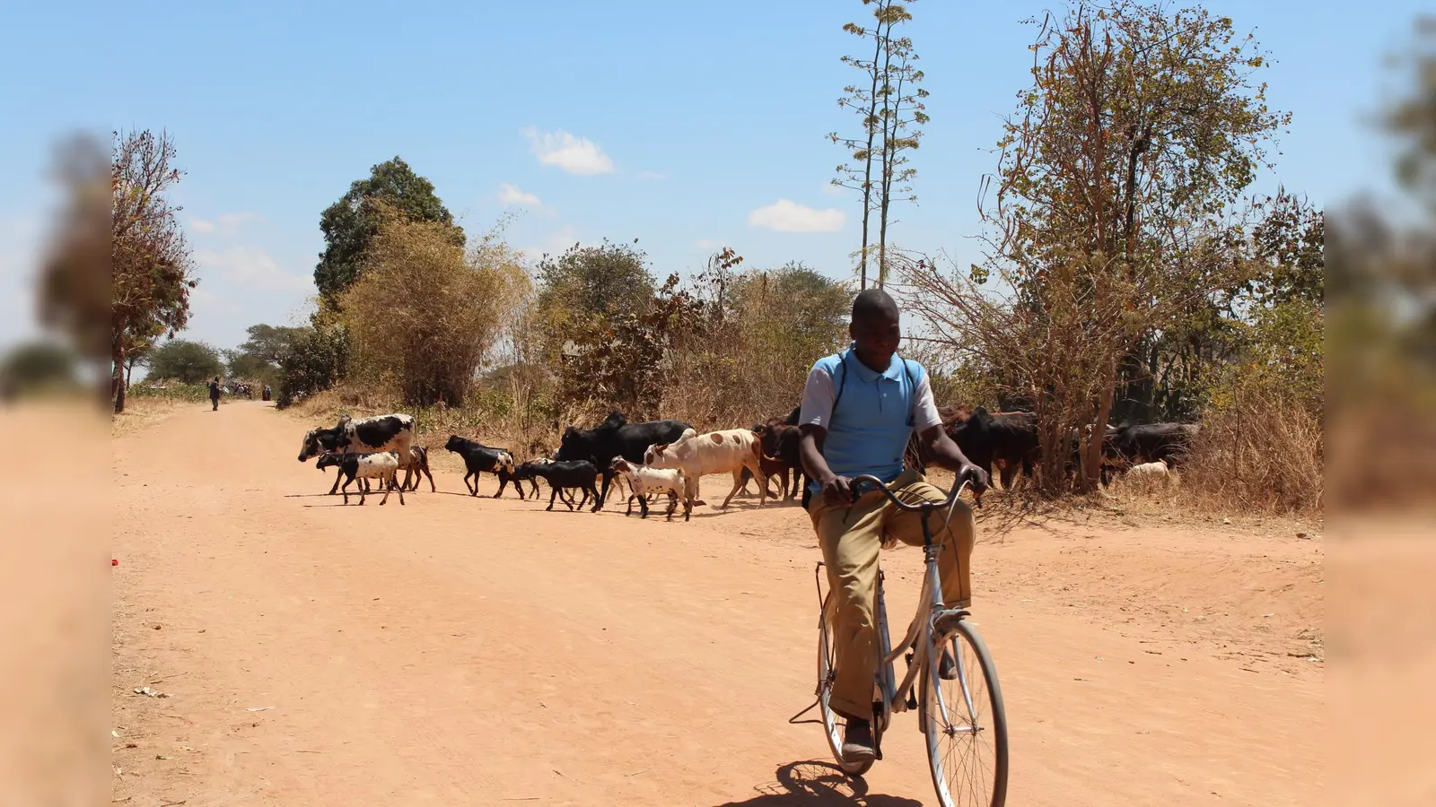 Usaka ist die Partnergemeinde der Petrikirche. Diese Partnerschaft soll nun gefeiert werden. (Foto: Privat)