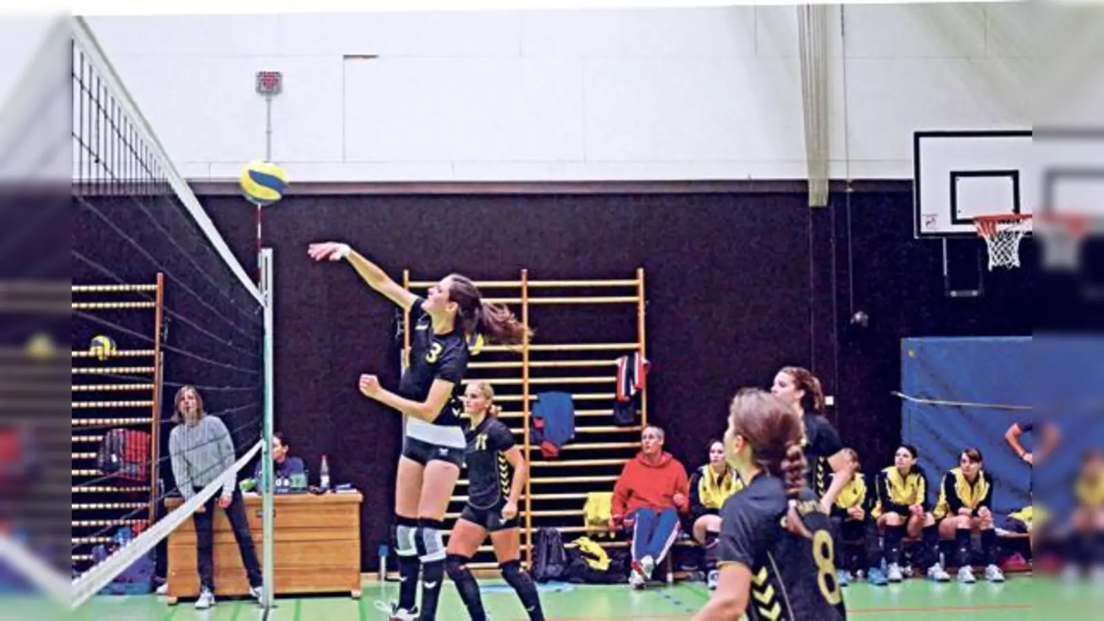 Die Volleyball-Abteilung der SF Harteck freut sich: Den Damen gelang der Durchmarsch in die Bezirksliga. 	 (Foto: Verein)