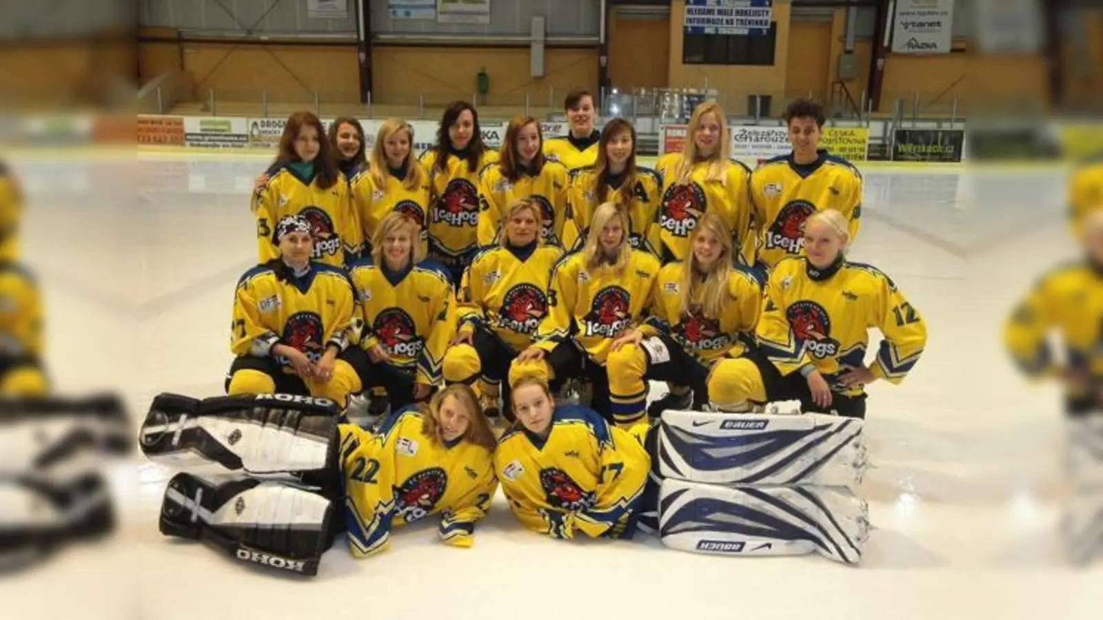 Eine der nur neun Damen-Eishockey-Mannschaften in Bayern: VfR München-Angerlohe.  (Foto: Verein)