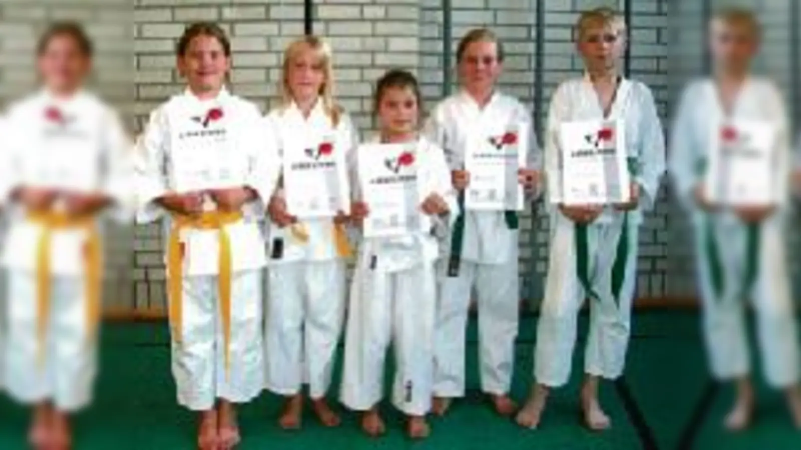 Bestanden: Glückliche Karateka des SC Eching nach den Gürtelprüfungen. 	 (Foto: Verein)
