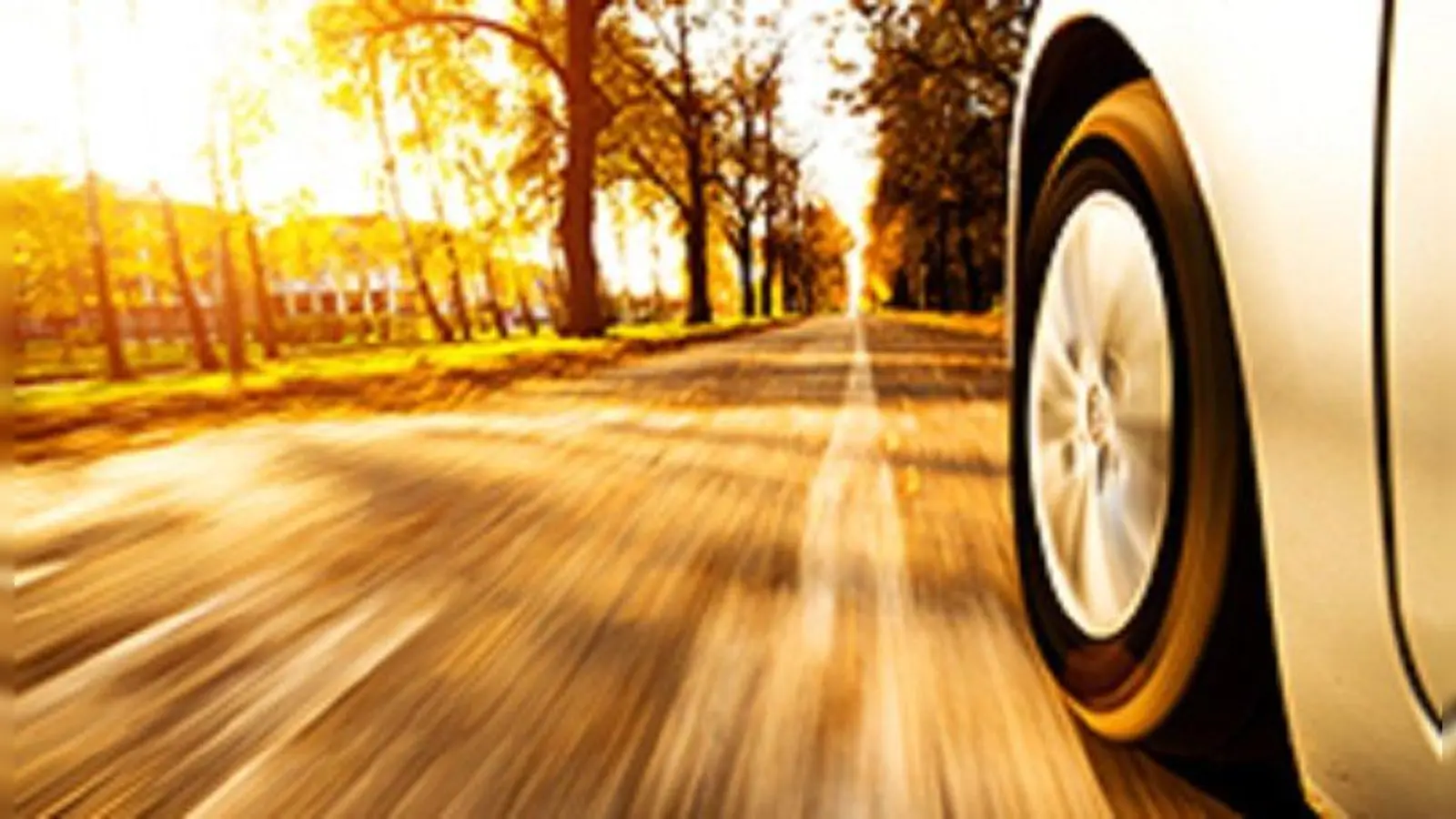 Quelle: Tirendo (Foto: Tirendo)