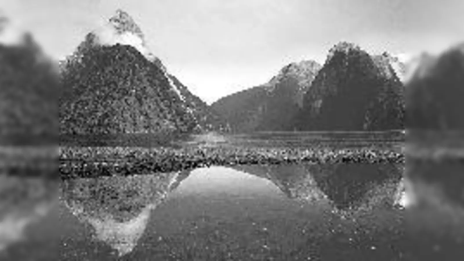 Natur pur: Milford Sound, eine der schönsten Gegenden in Neuseeland.	 (Foto: P. Sachsenmaier)