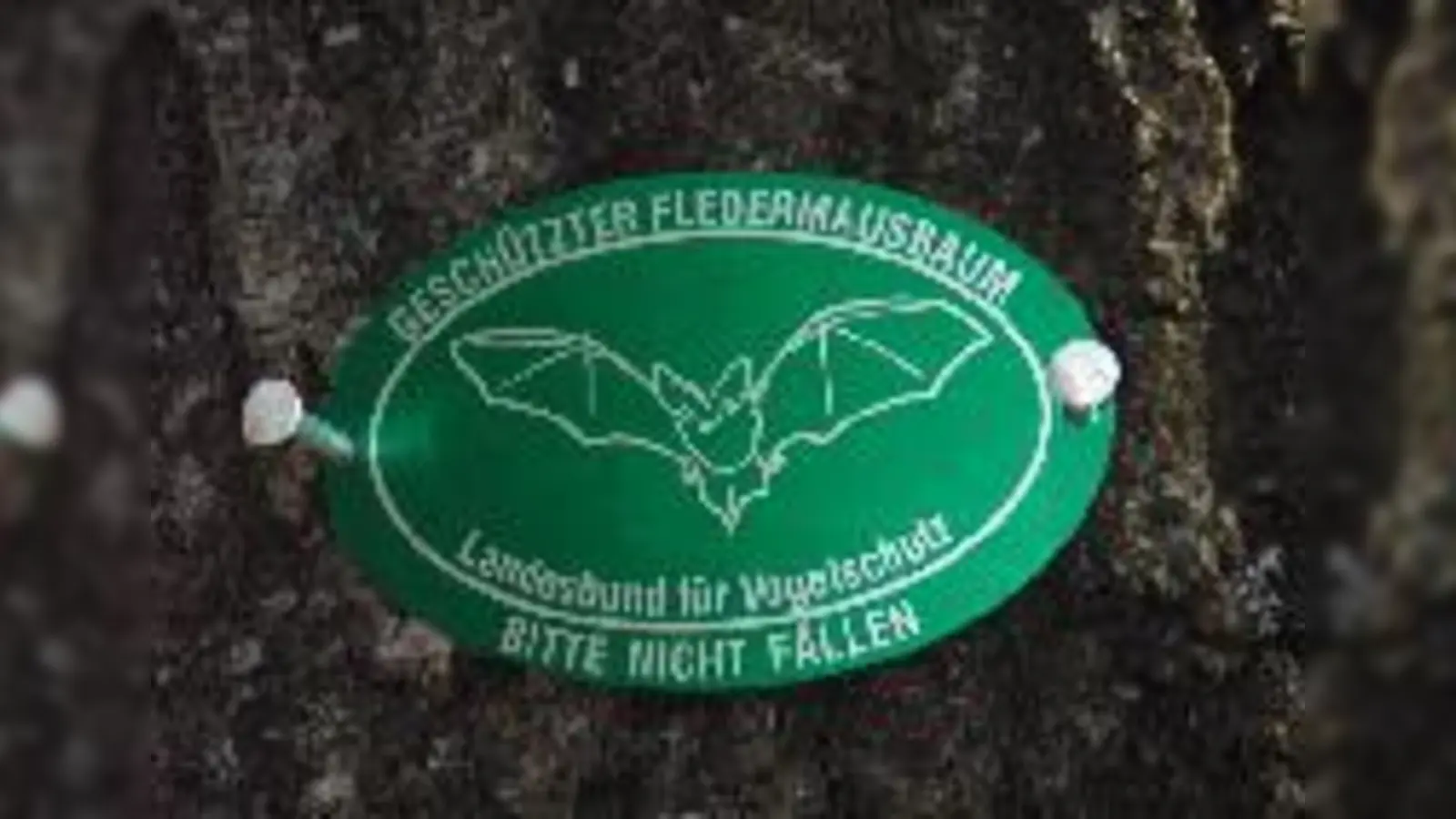So macht der Landesbund für Vogelschutz auf die Fledermausbäume aufmerksam.	  (Foto: privat)