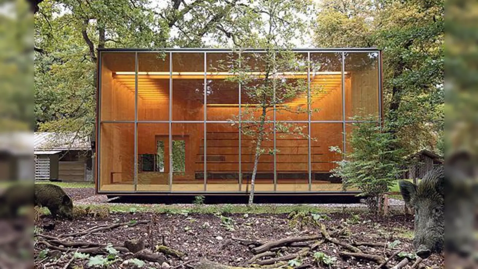 Im Panoramasaal des Walderlebniszentrums finden am 20. Januar interessante Vorträge zur Architektur statt.	  (Foto: VA)