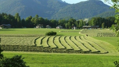 Rund ein Drittel der landwirtschaftlichen Fläche in Bayern ist Grünland. (Foto: Michael Friedel)