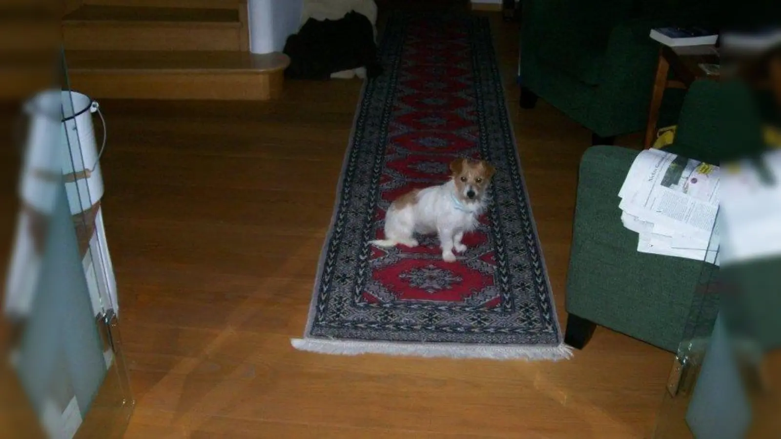 Die kleine Heidi wird seit Jahresbeginn vermisst. (Foto: Arnold)