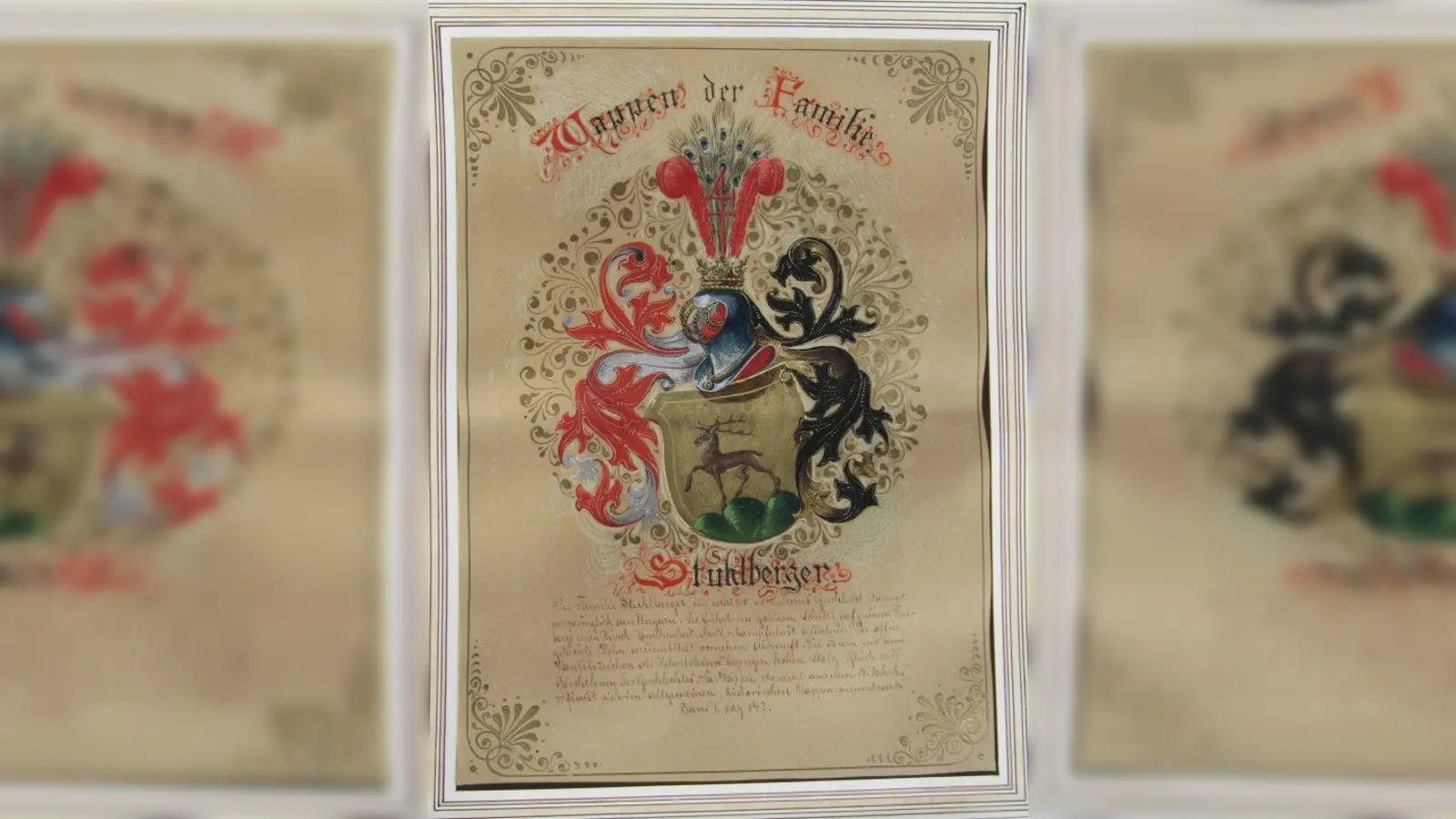 Bild 3 (Foto: J. Tausch)